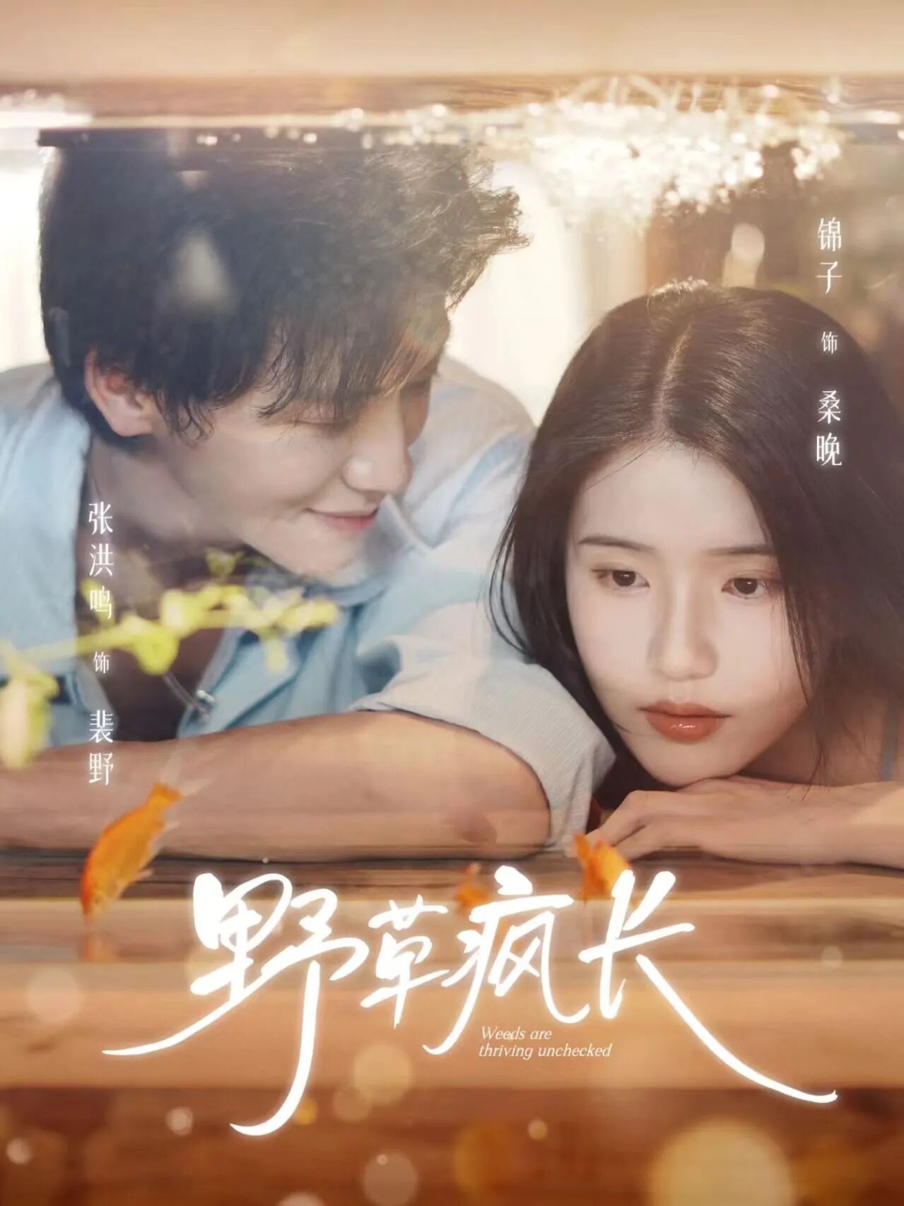 播放量超8亿！《野草疯长》如何以“情感流”俘获观众？第2张