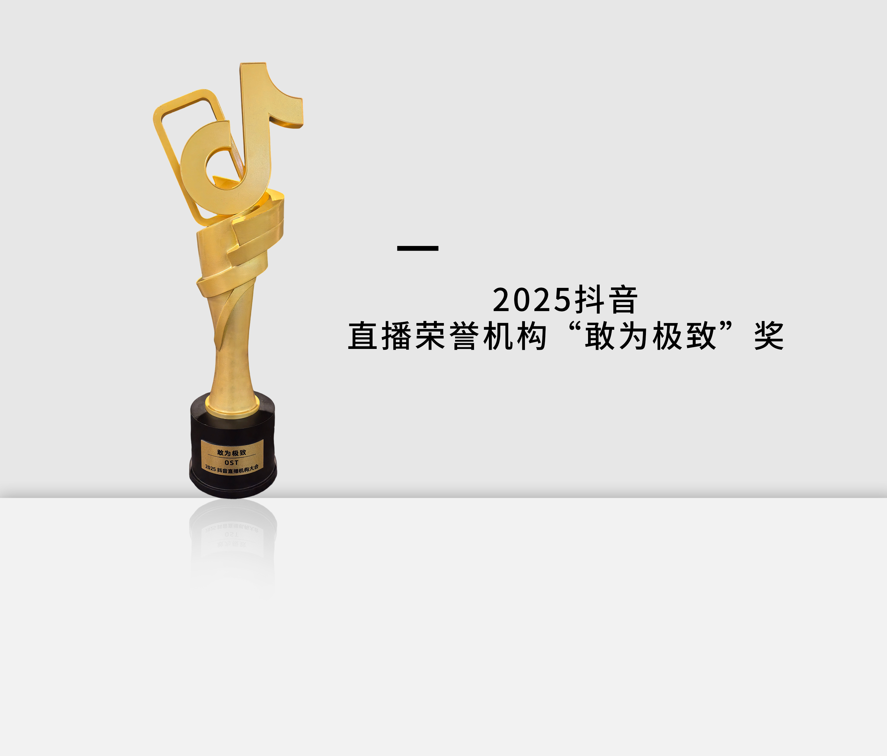 2025抖音直播荣誉机构“敢为极致”奖