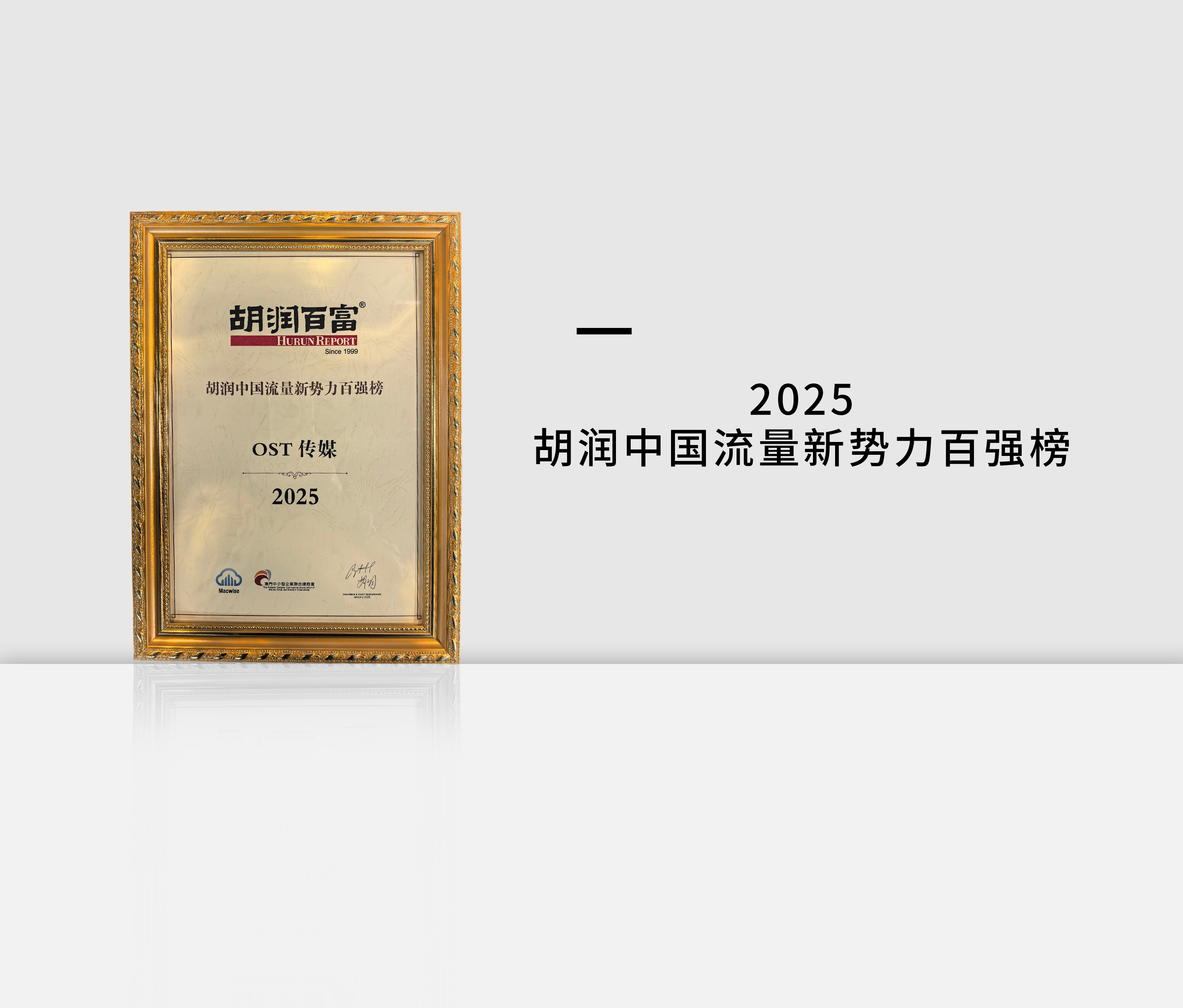 2025胡润中国流量新势力百强榜
